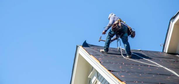 Best Roof Gutter Cleaning  in Morrilton, AR